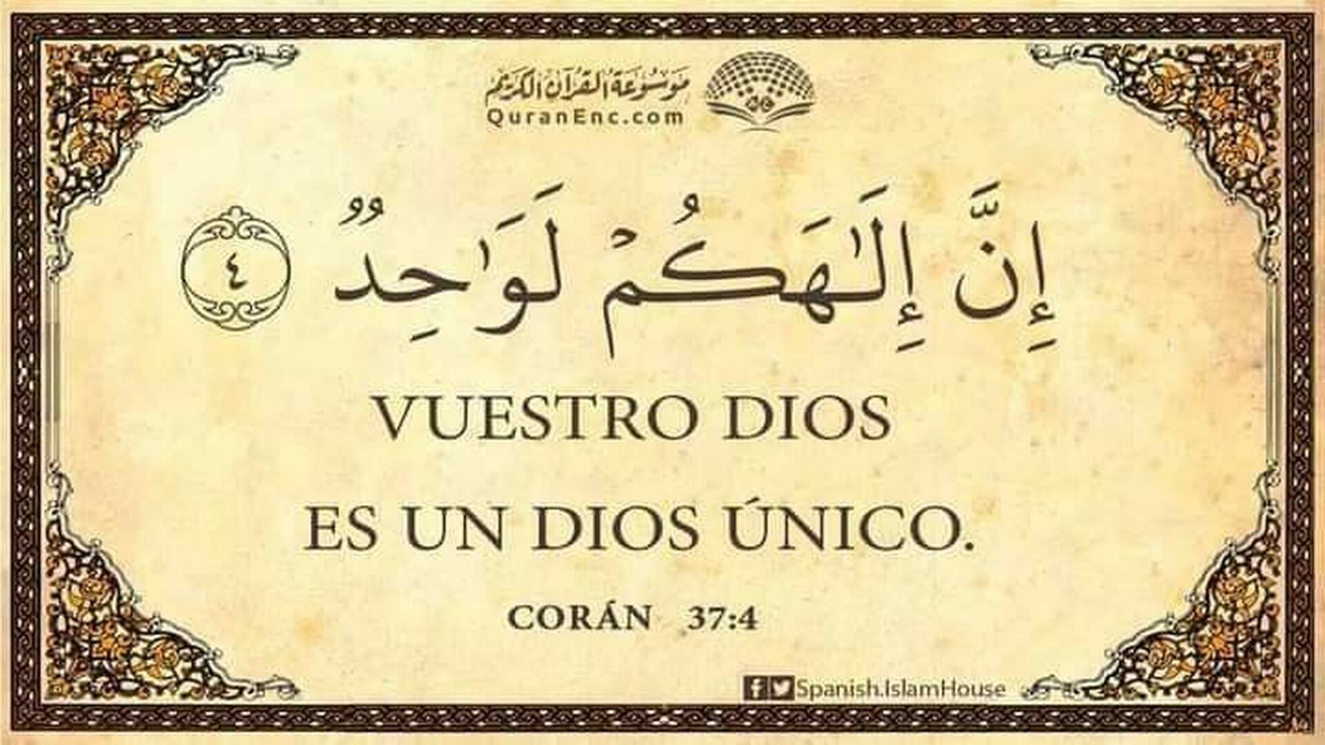 Publicacion