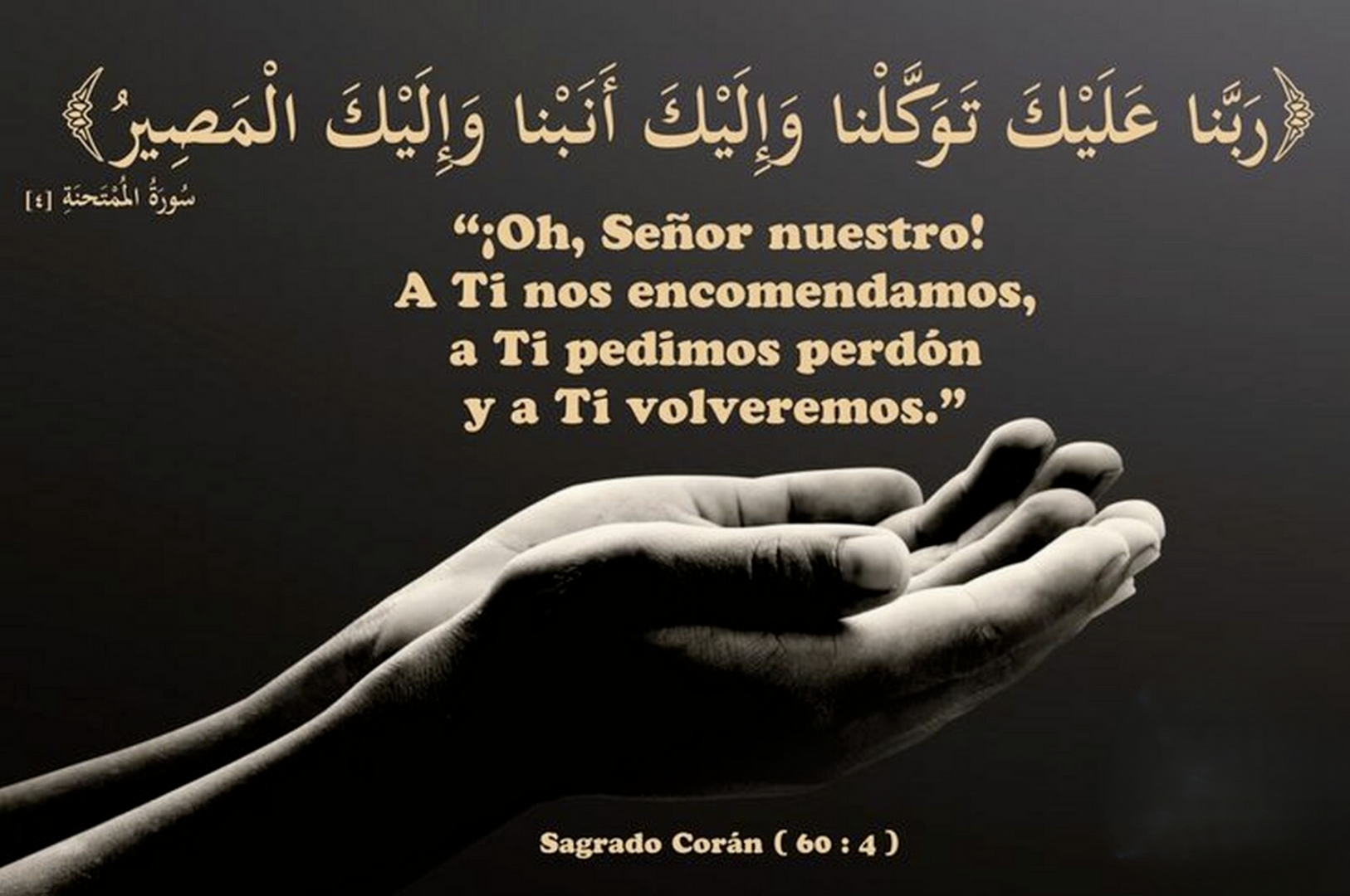 Publicacion