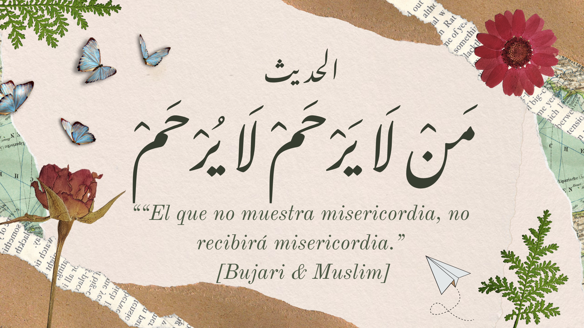 Publicacion