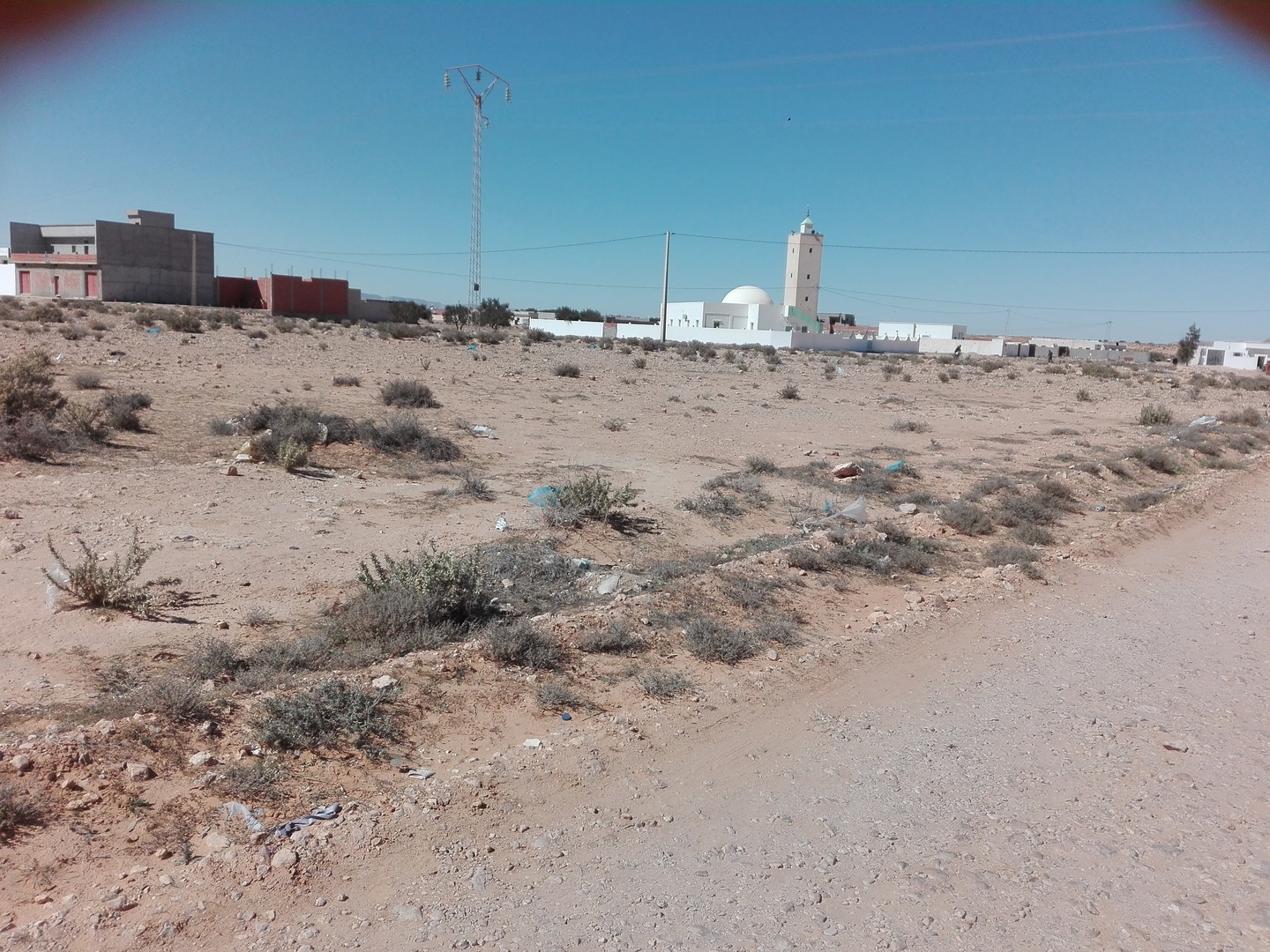 جامع عثمان بن عفان