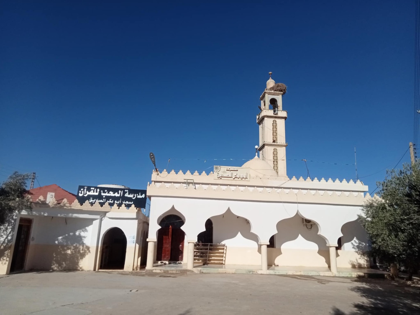 "أبو بكر الصديق" مشتة البلاحتة