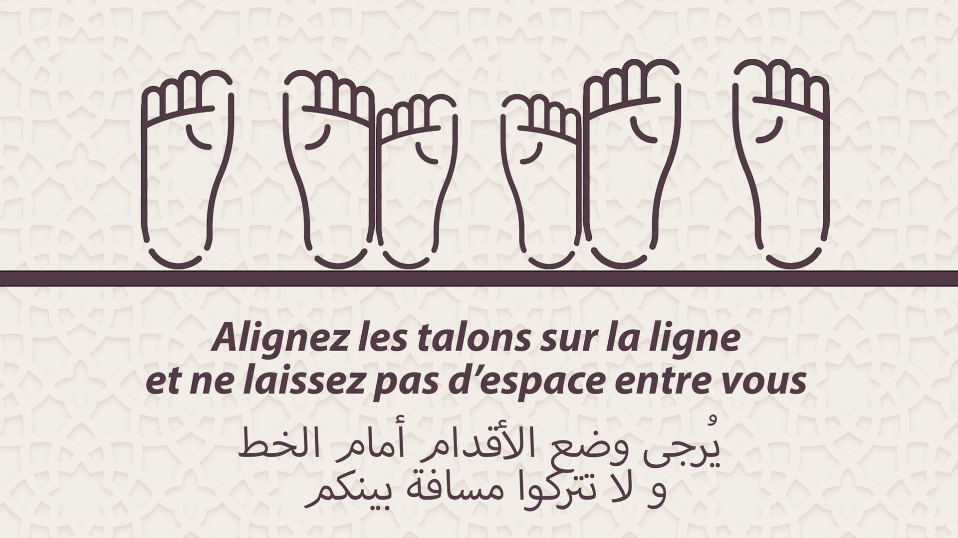 Allignement des rangs