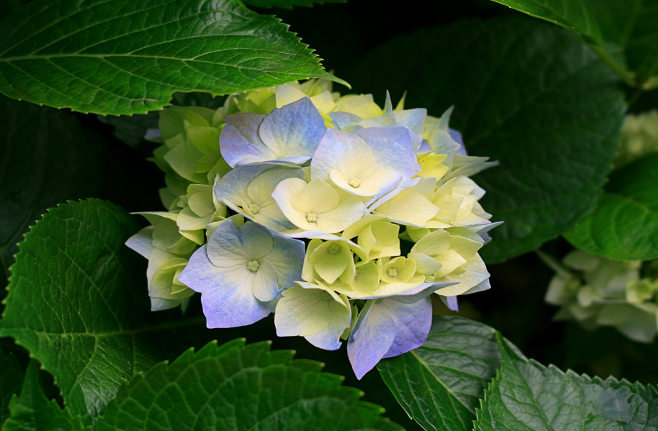 test 1