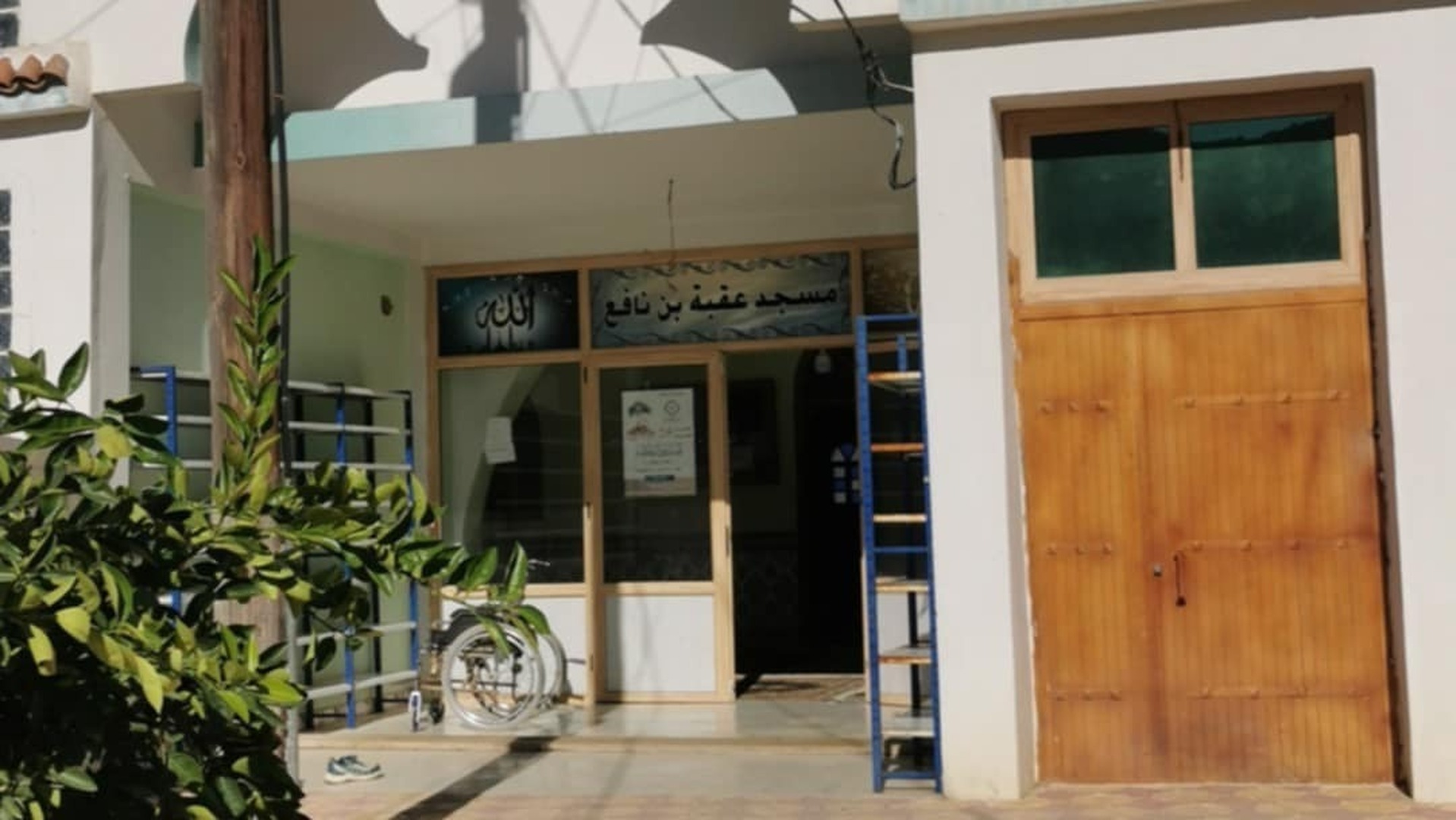 عقبة بن نافع