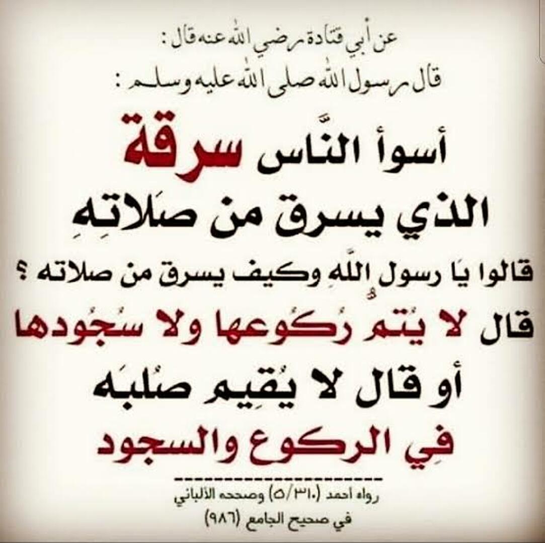 من آداب المسجد