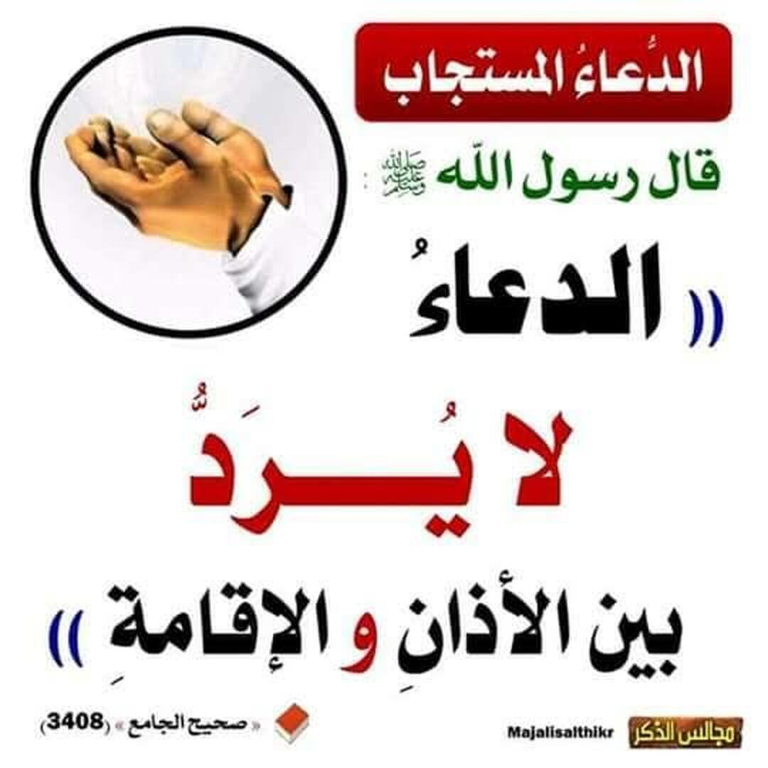 من آداب المسجد