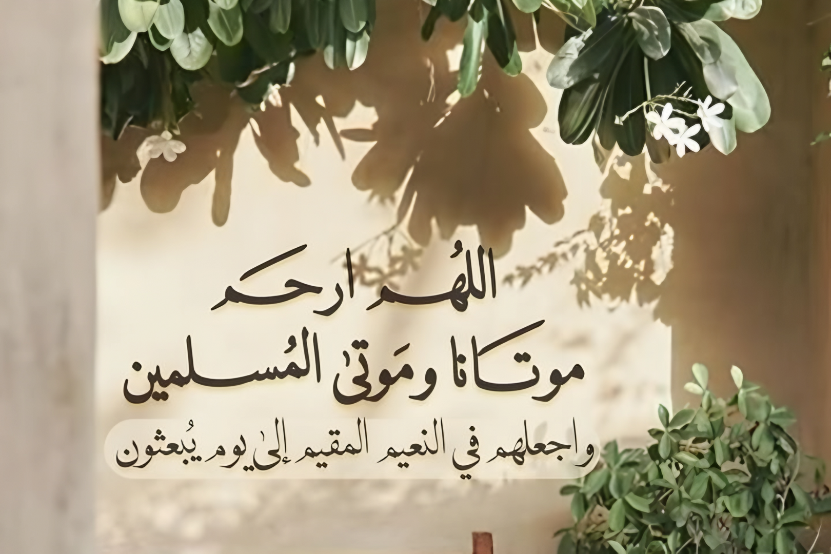 دعاء
