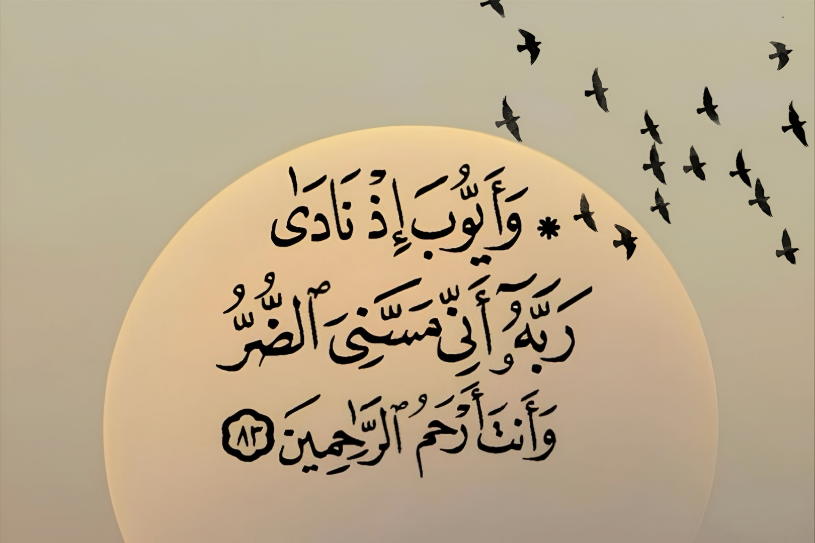 آيـــــــة