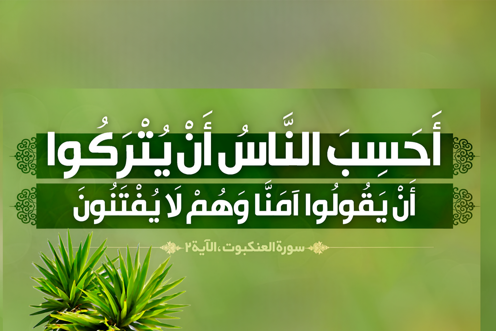 آيـــــــة