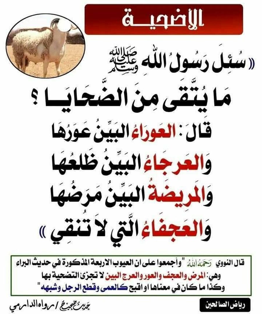 حديث