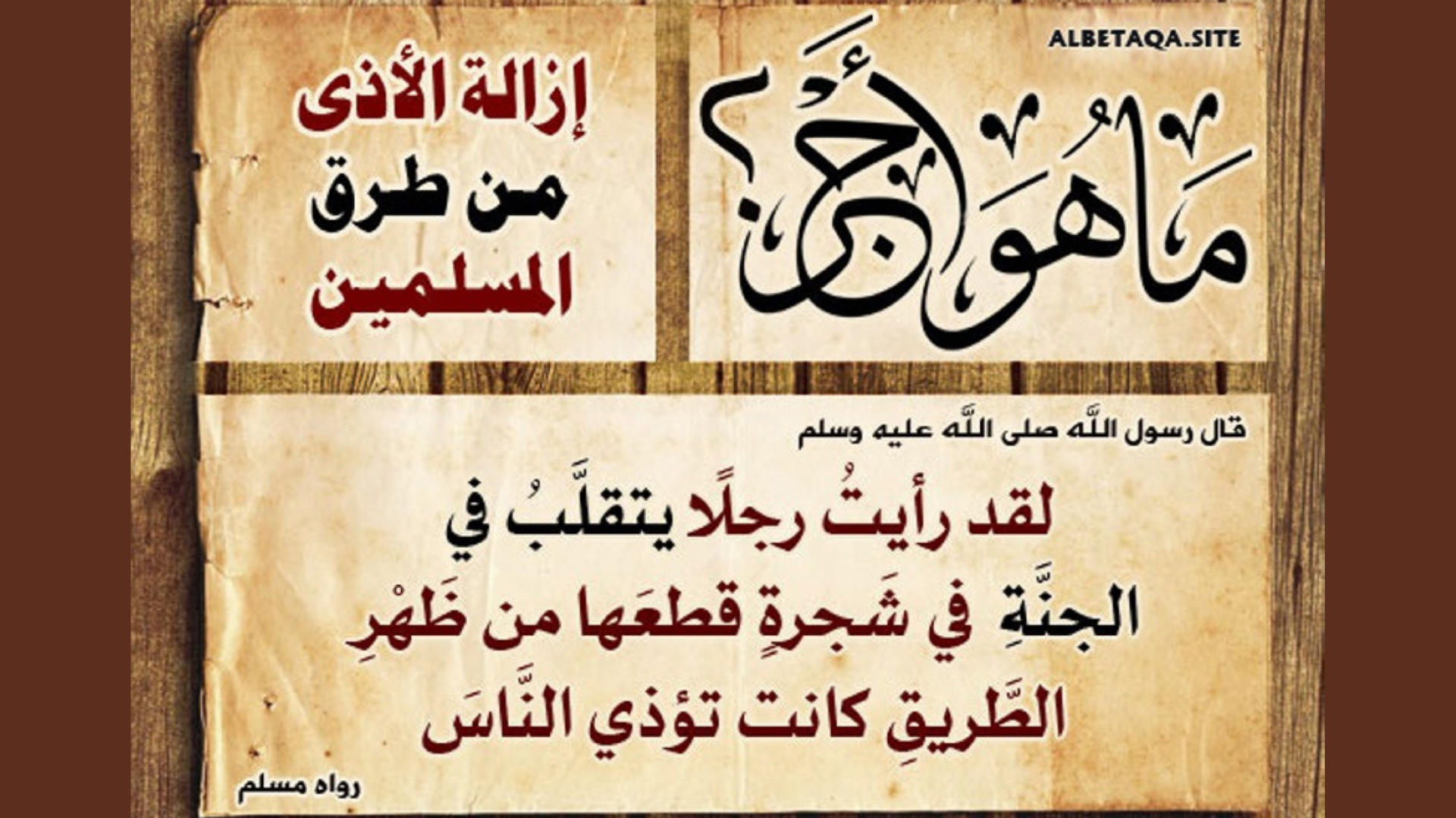 إزالة الأذى من طرق المسلمين