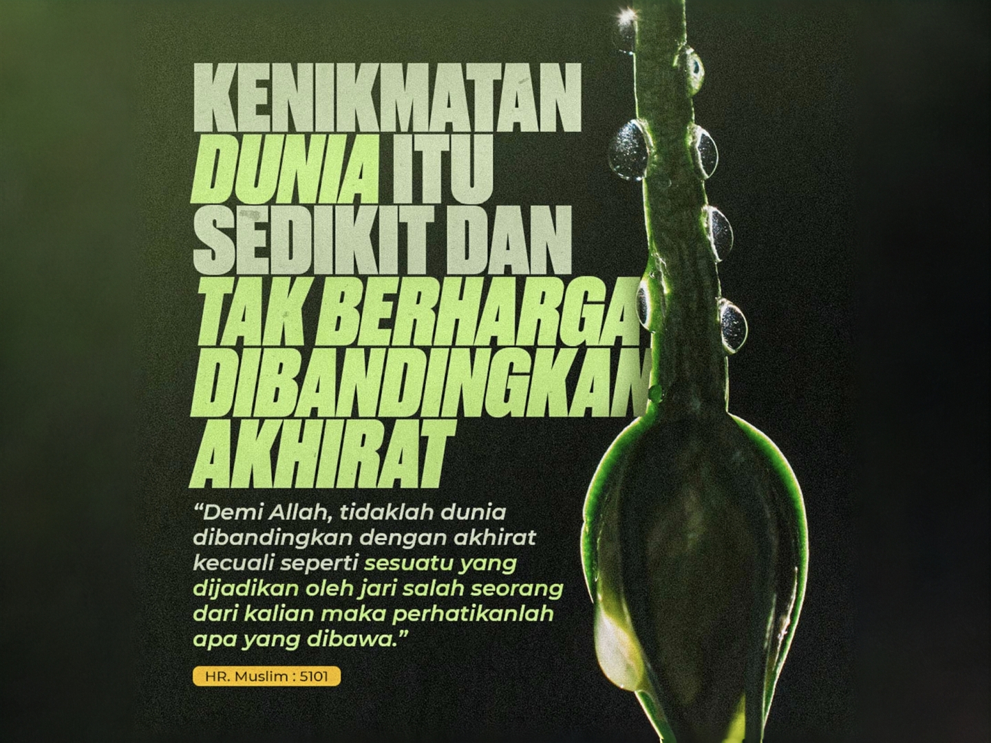 Nasihat