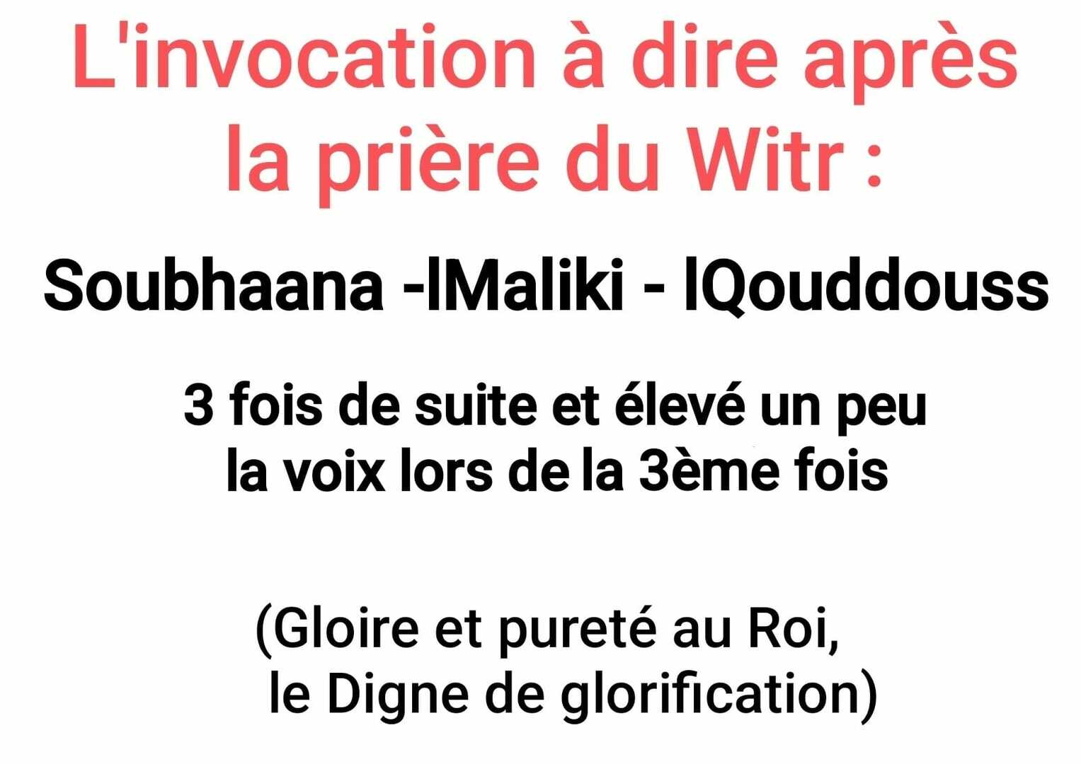 COMPORTEMENT