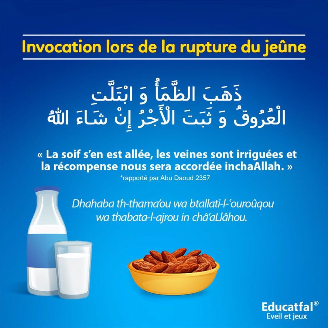 COMPORTEMENT