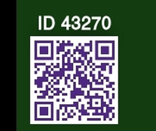 مسجد جمال الدين الأفغانـــي-أولاد بوغالم