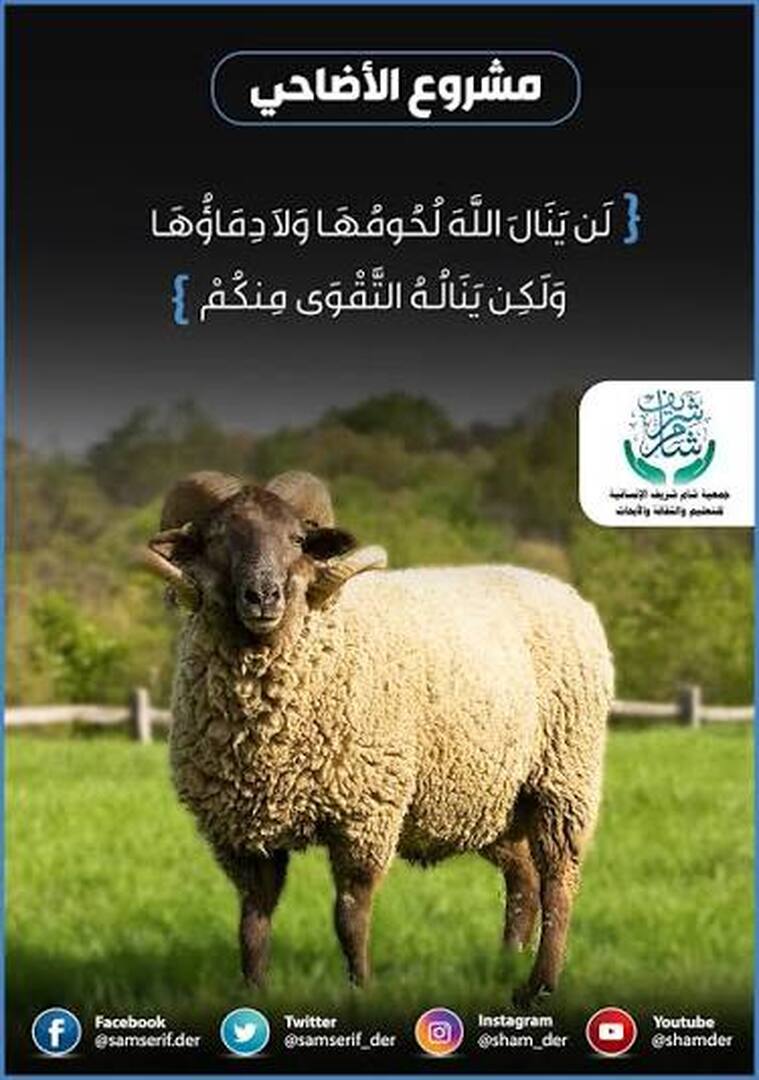 الاضحية