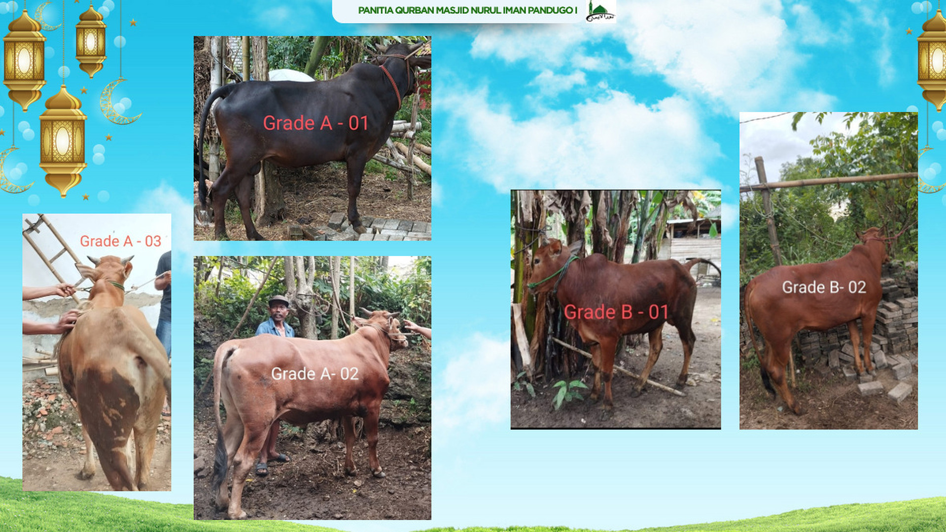 qurban1447Hc