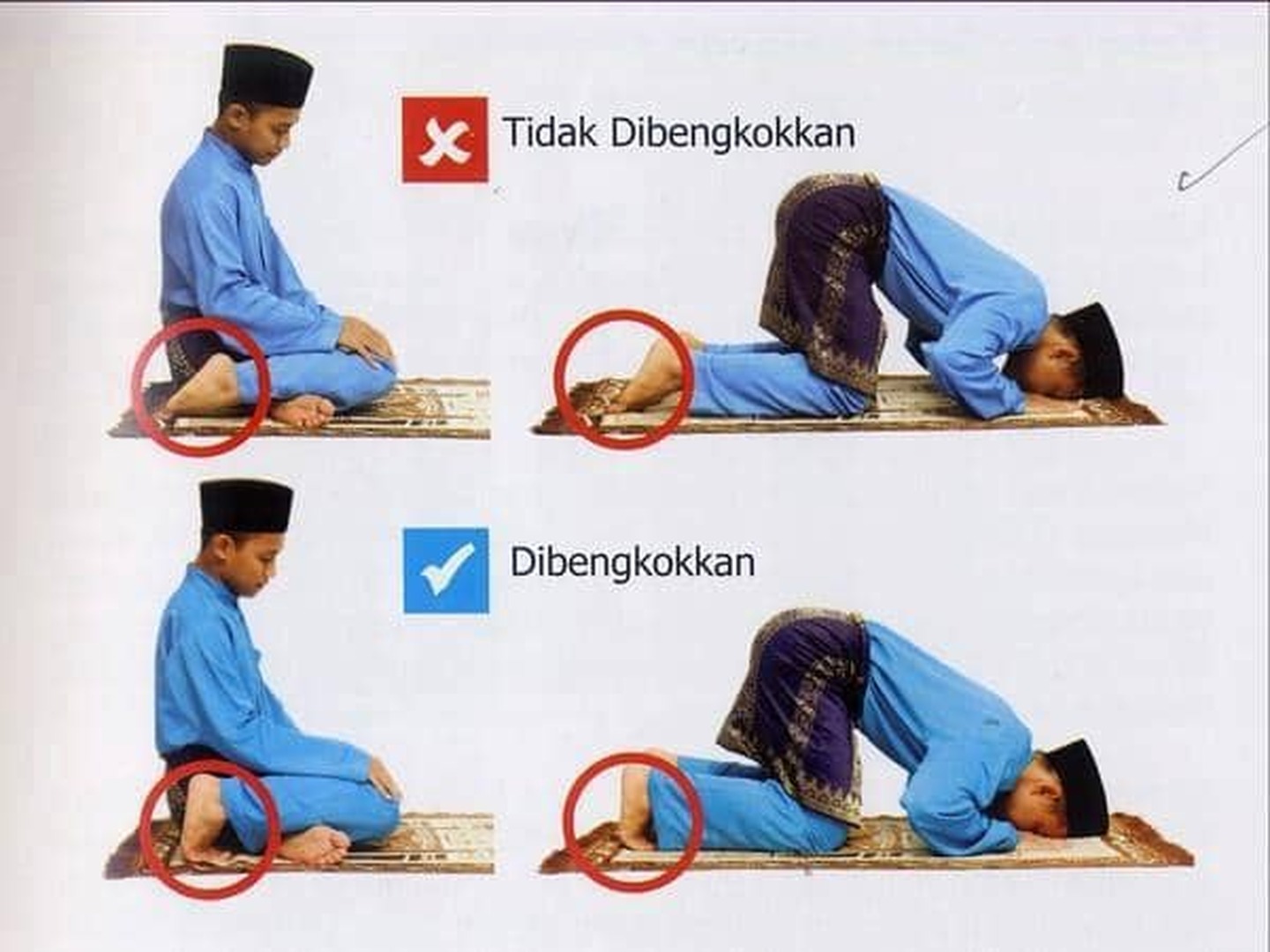 Sujud