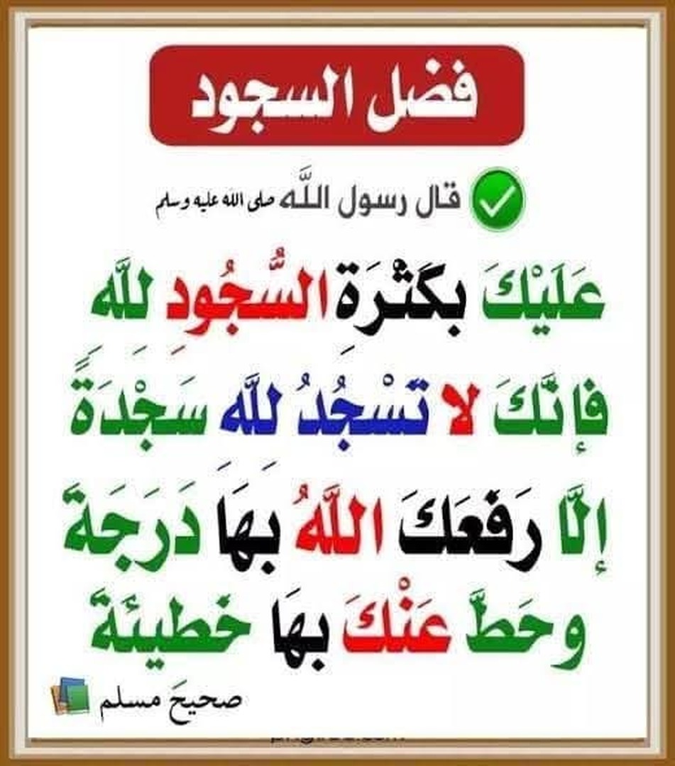 صورة