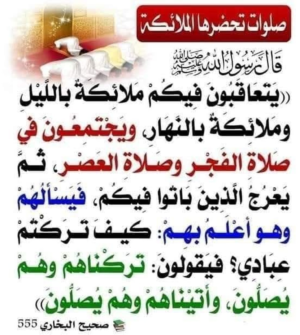 صورة