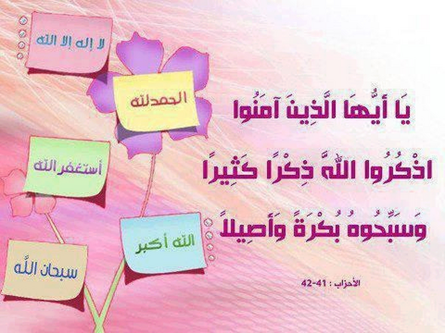 الذكر