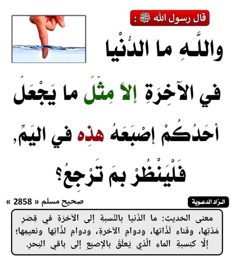 الدنيا والاخره