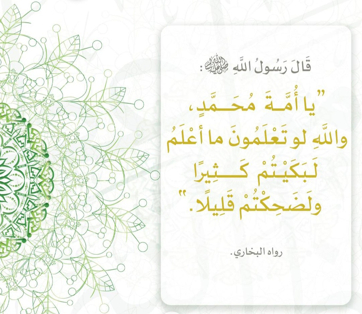 لبكيتكم كثيرا