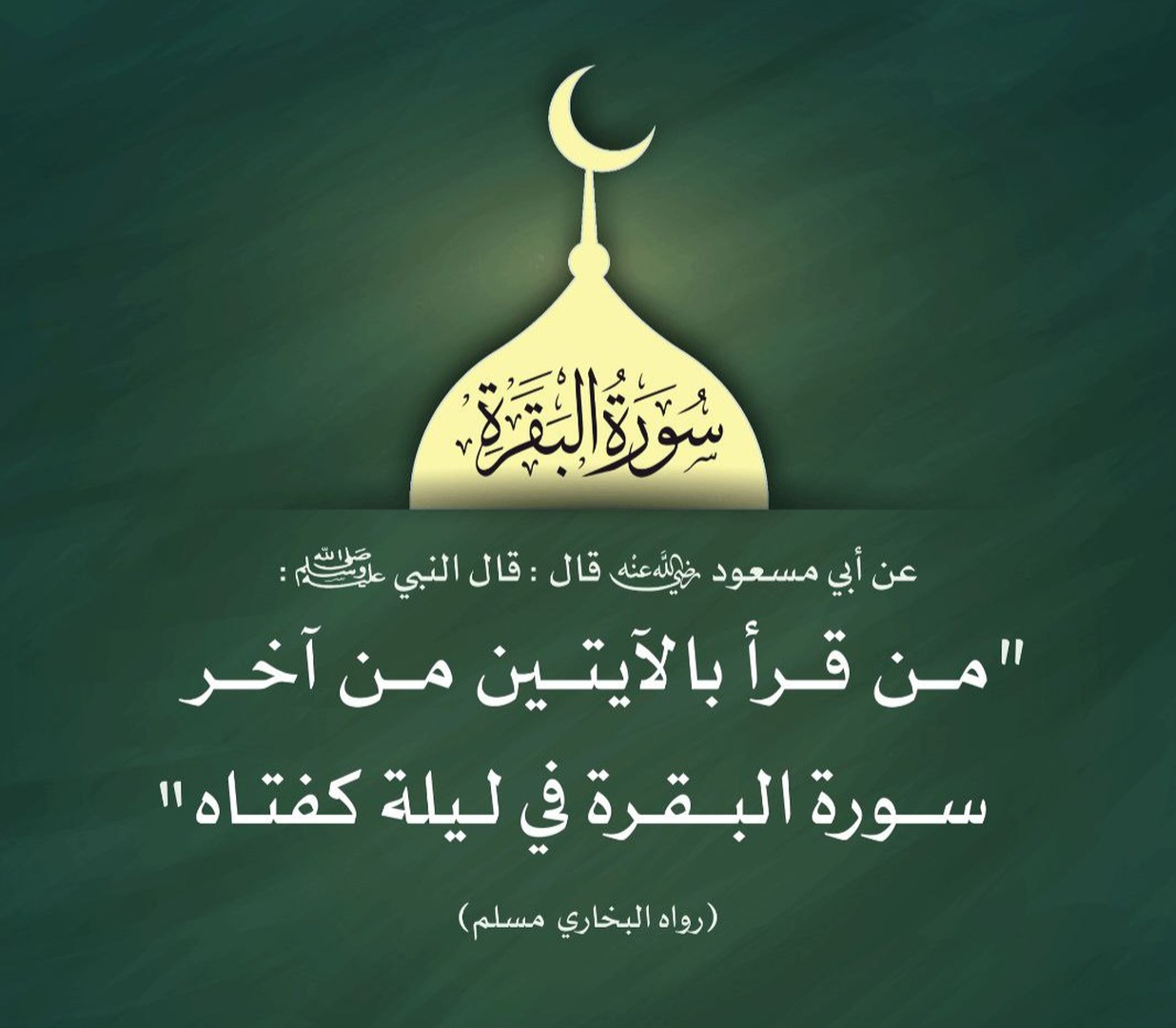 لا تنس في كل ليلة