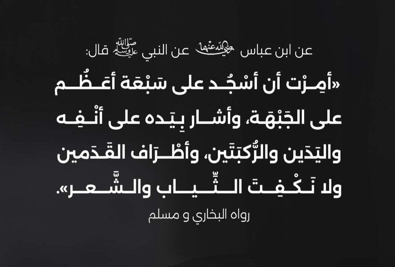 السجود على سبعة أعظم