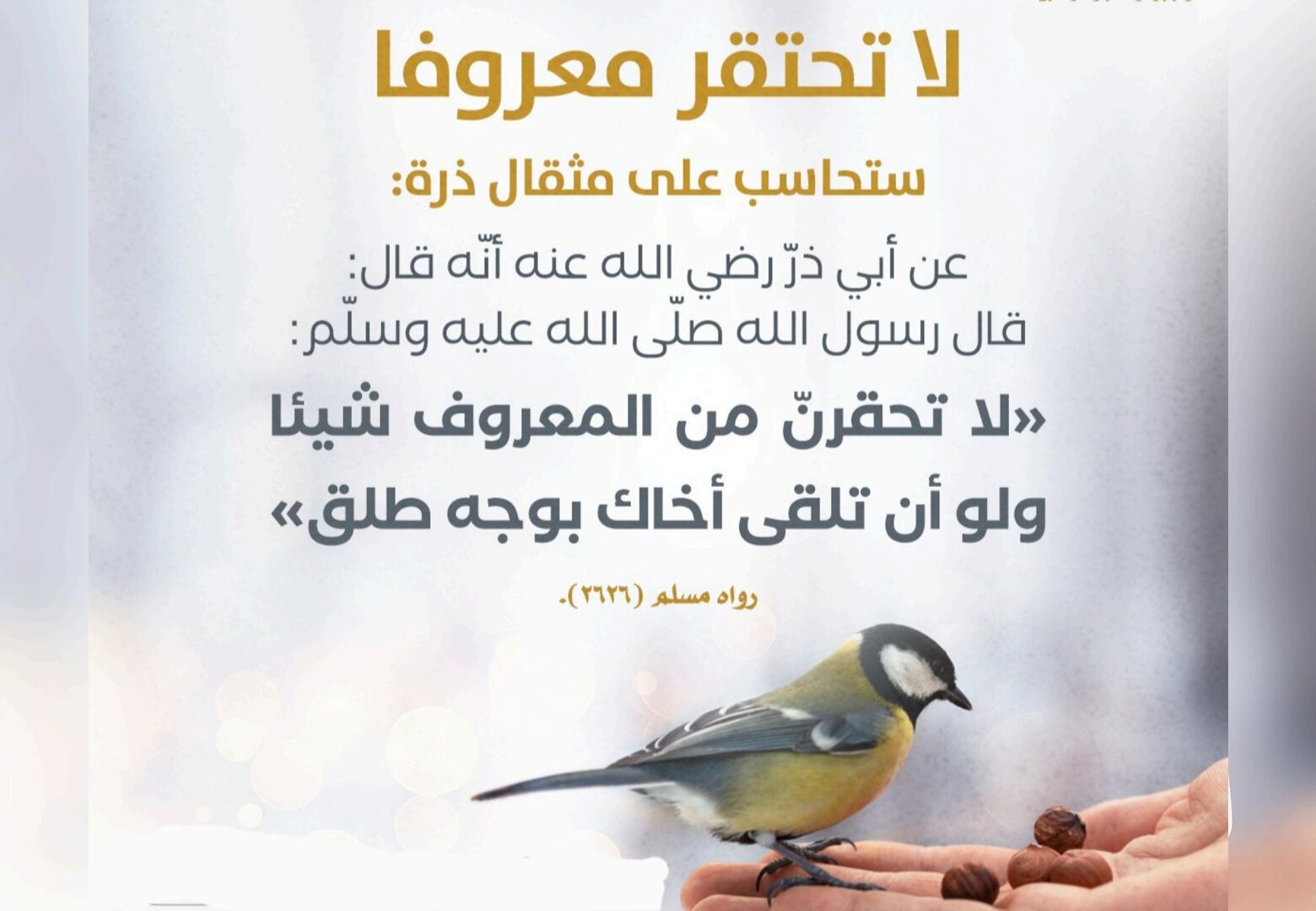 لا تحتقر معروفا