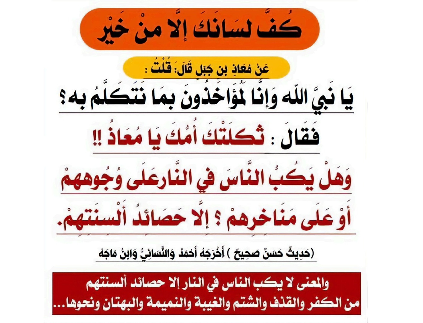 يكب الناس في النار  حصيدة لألسنتهم