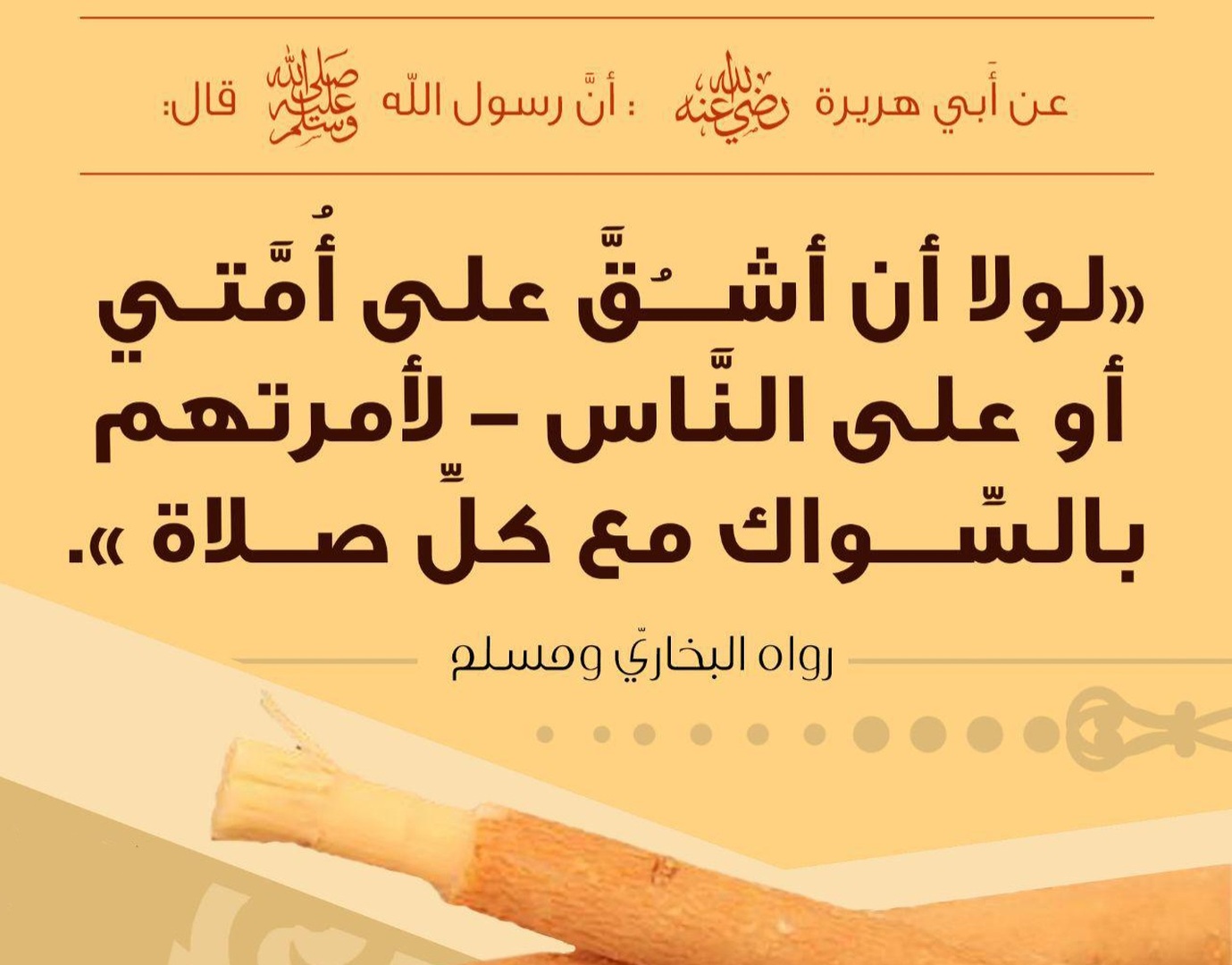 ..لأمرتهم بالسواك مع كل صلاة