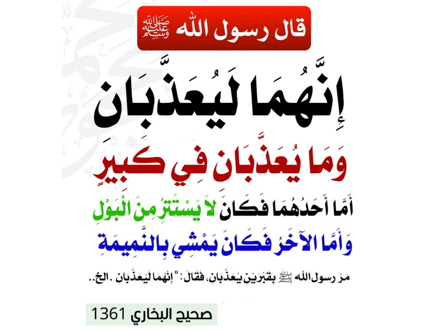 من أسباب عذاب القبر عدم الاستتارمن البول