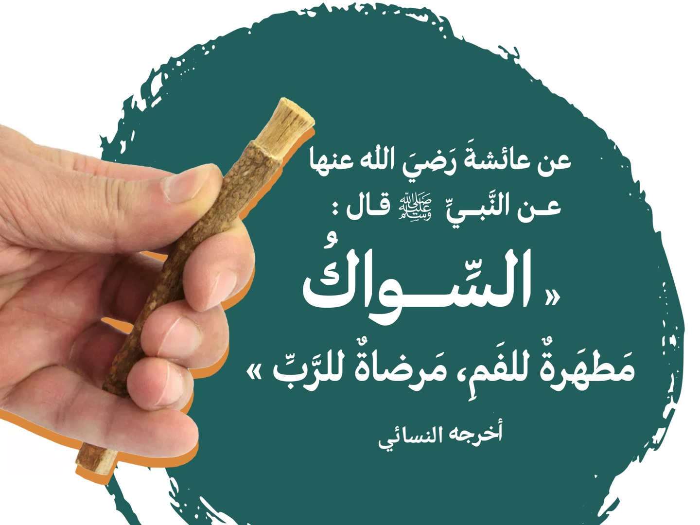 السواك مطهرة للفم مرضاة للرب