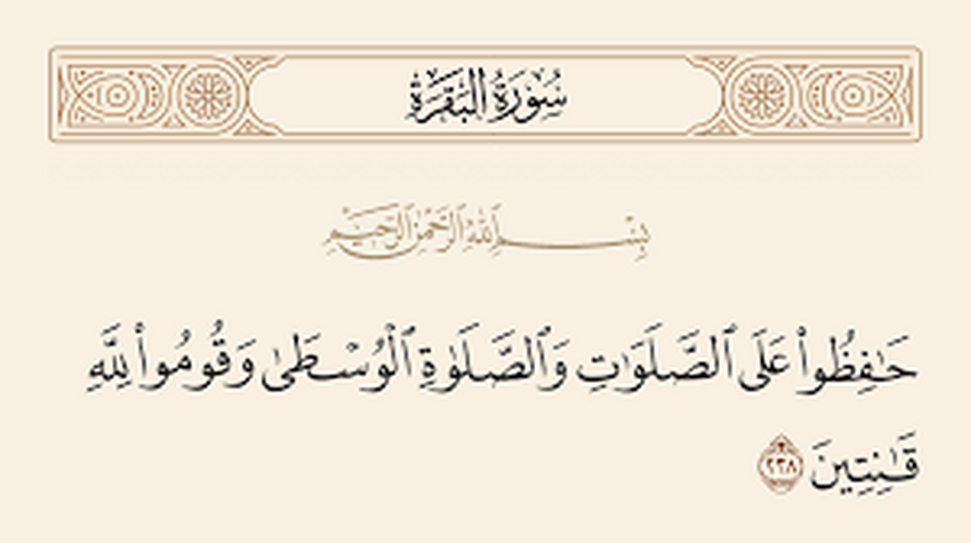 فضل الصلاة