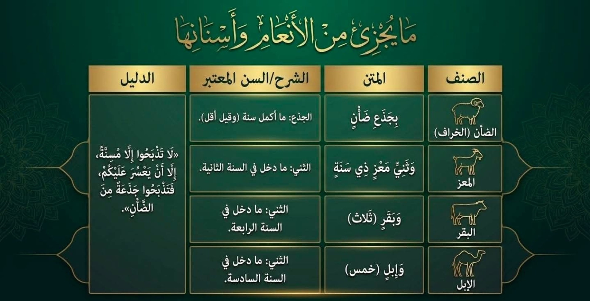 أحكام الأضحية