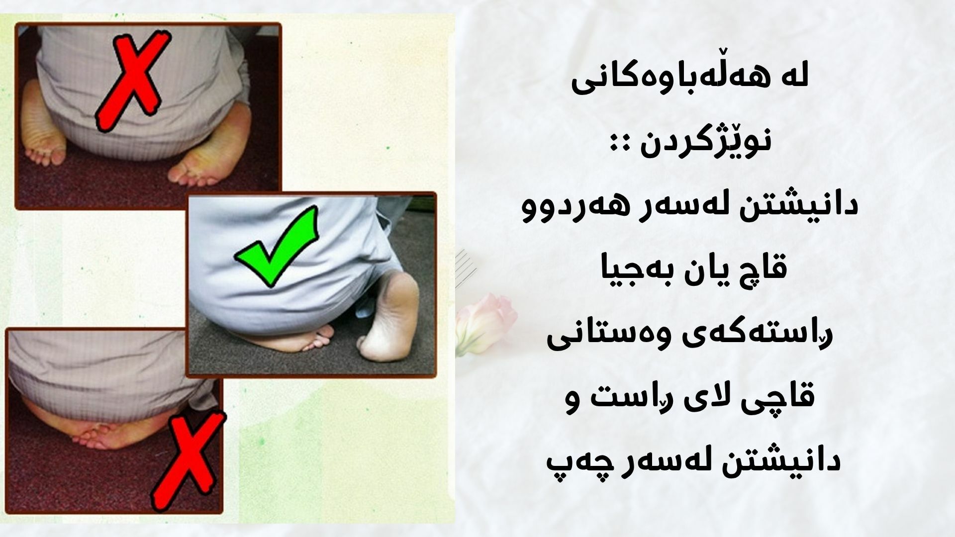 :: هەڵەباوەکانی نوێژ کردن