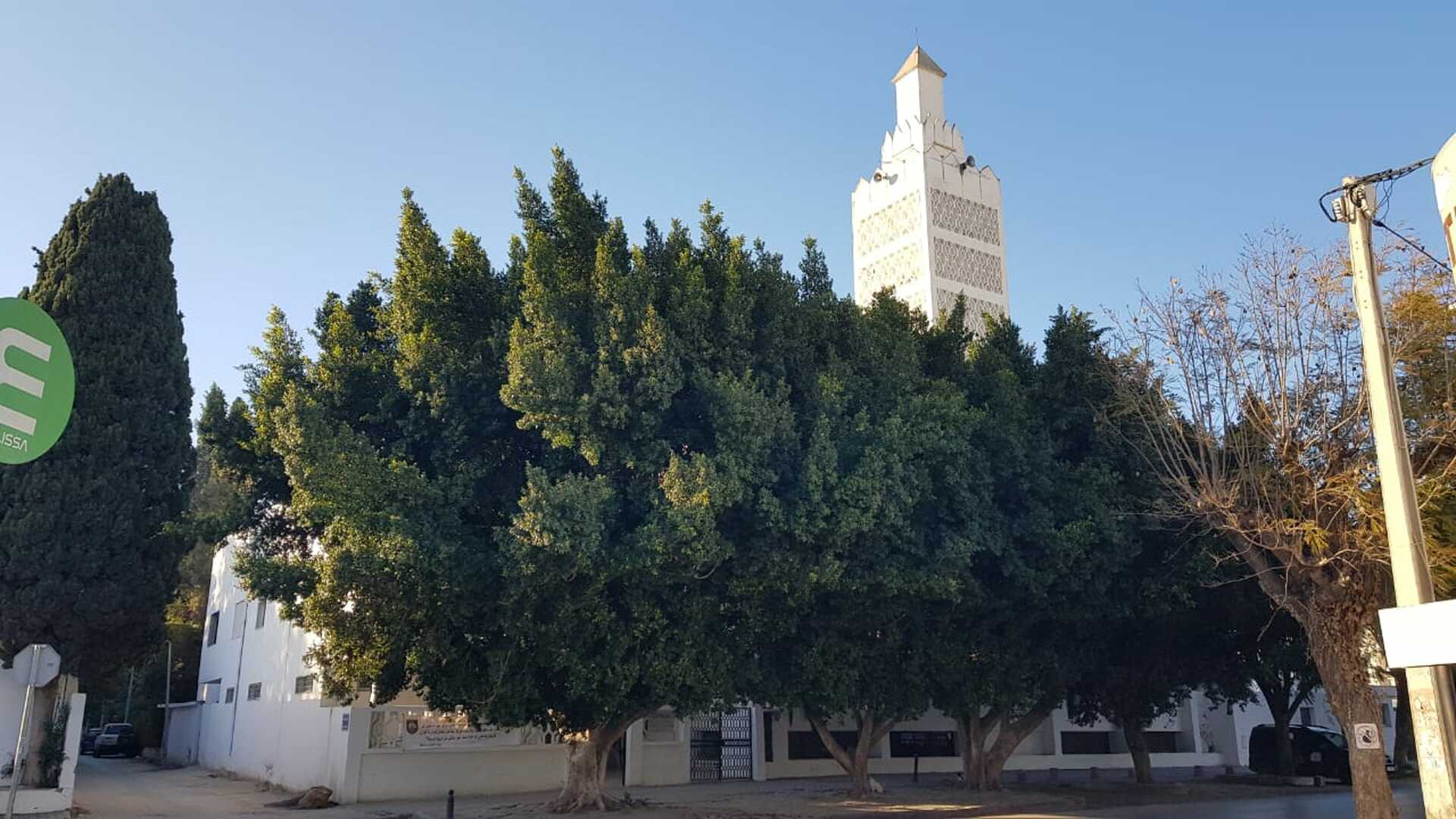 جامع الفلاح