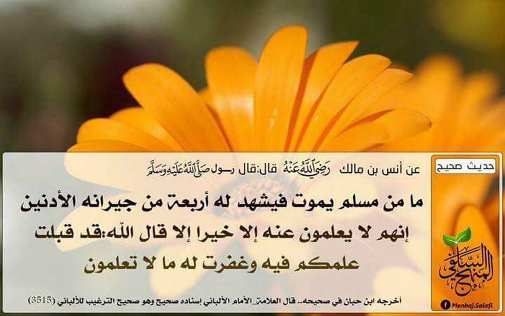 ح