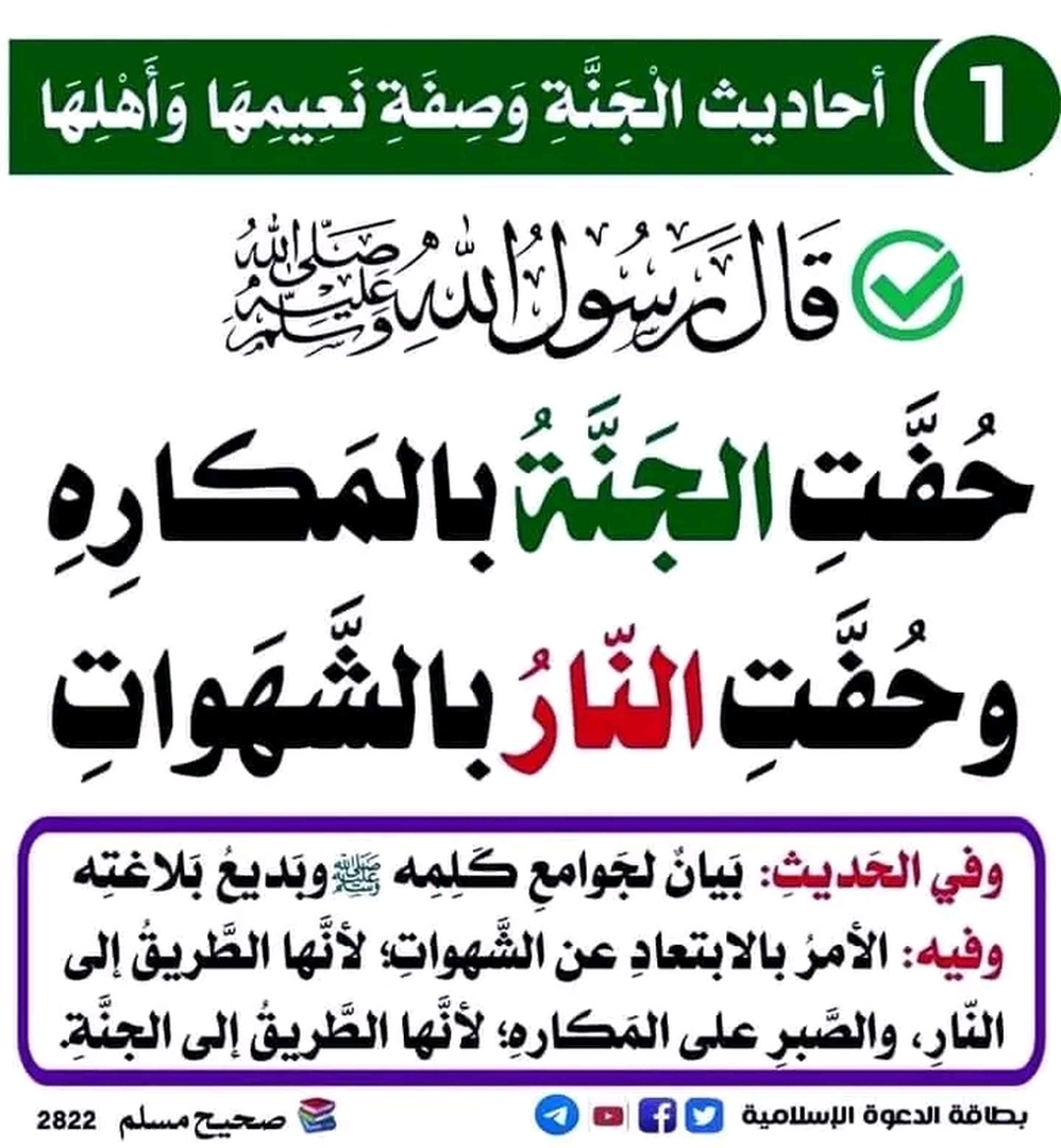 فائدة :