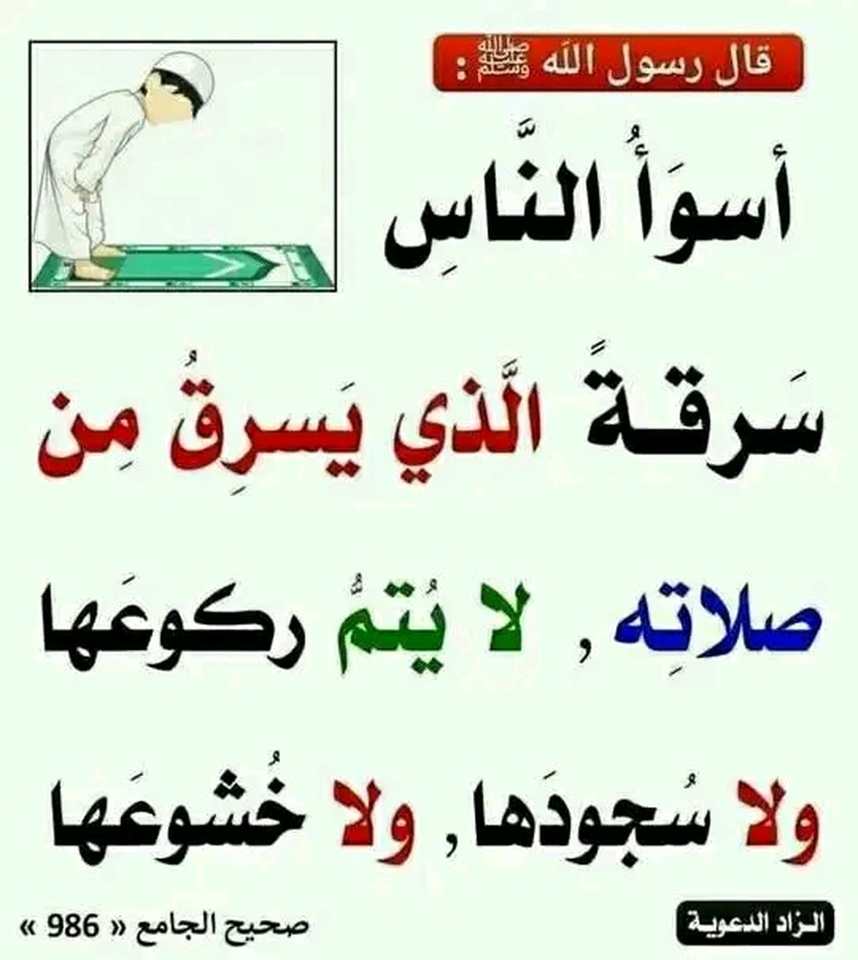 فائدة مهمة ينبغي التنبيه عليها: