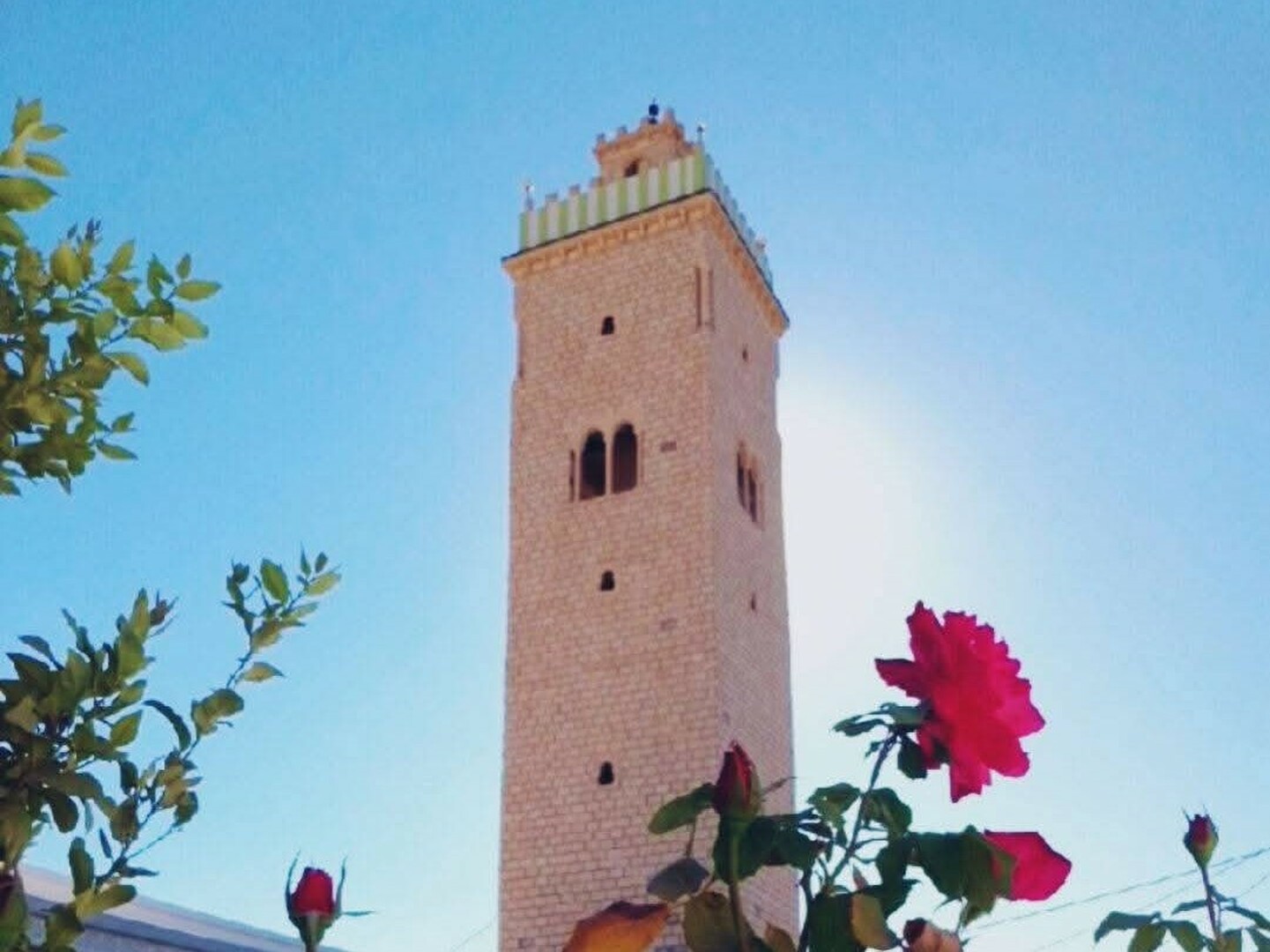 جامع الفتح  زردة