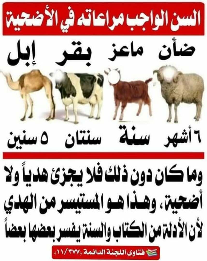 حديث