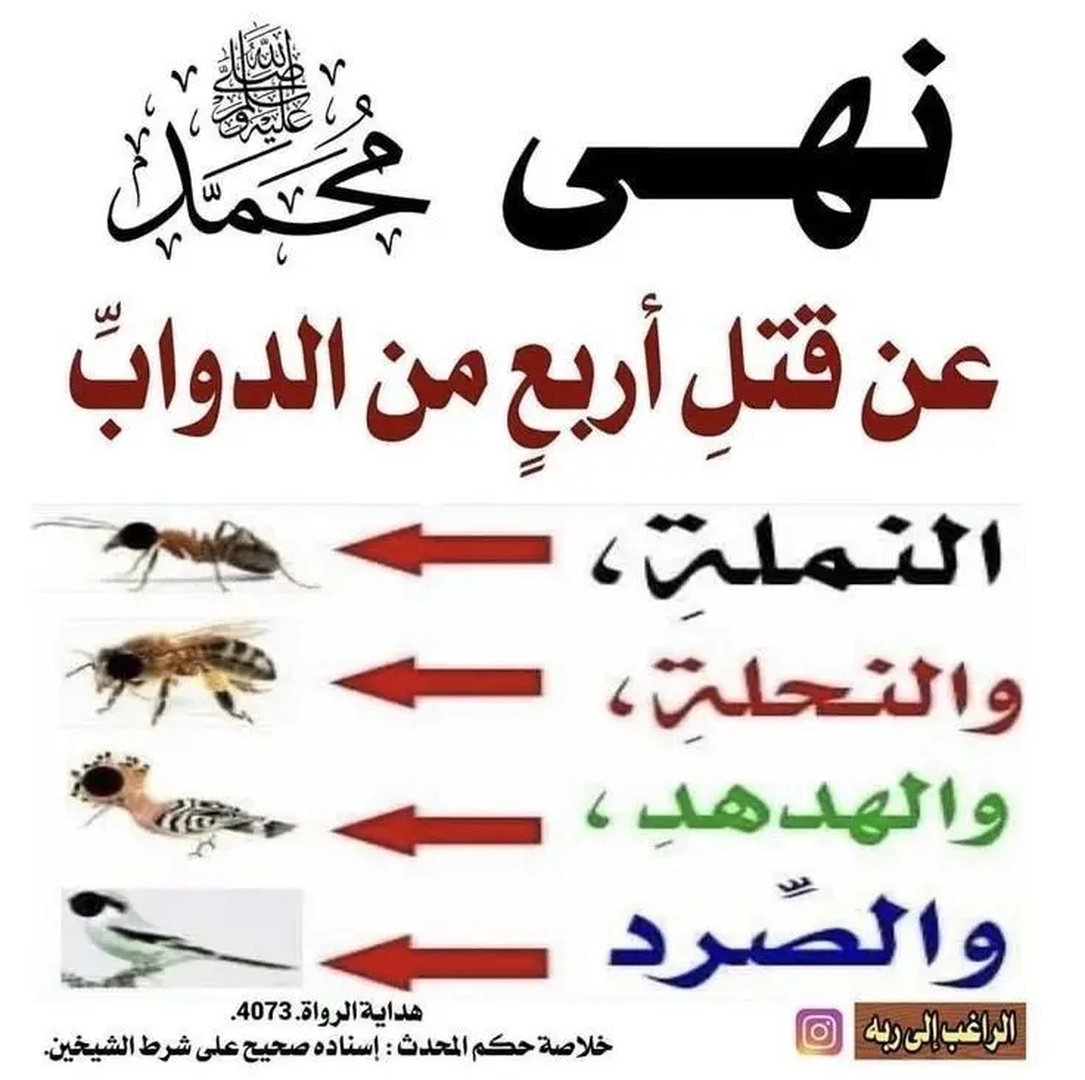 حديث