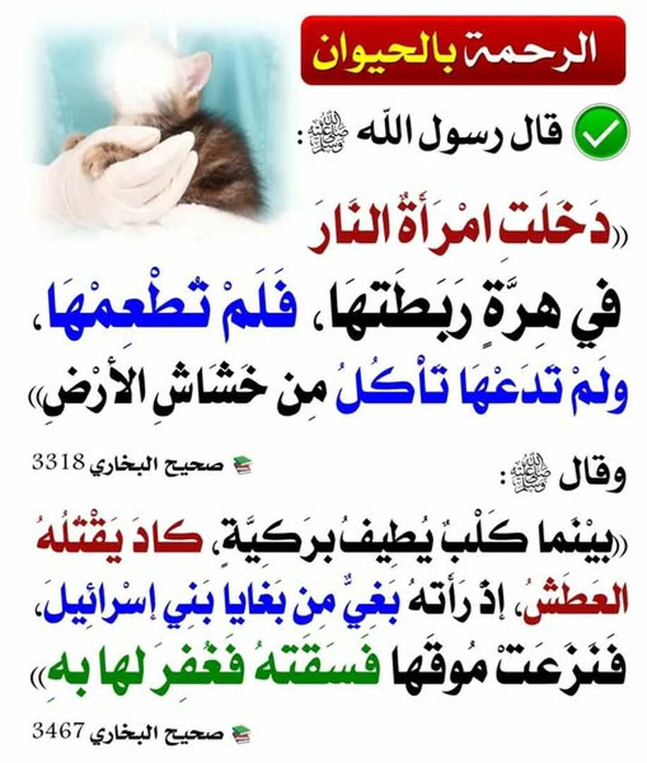 حديث