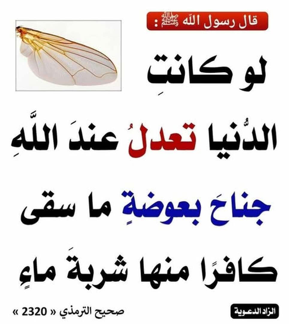 حذيث