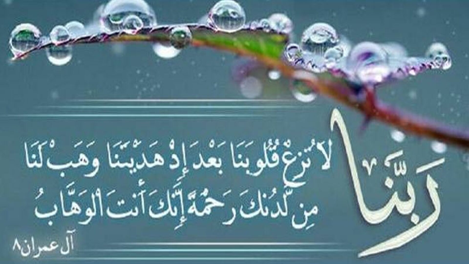 Douae