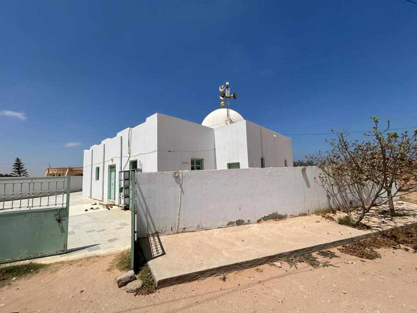 جامع الزياتين