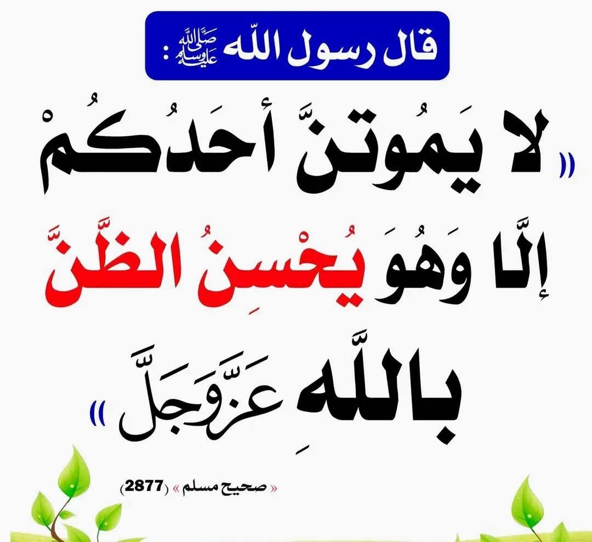 الحديث