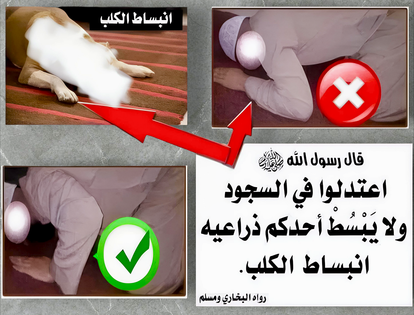 تنبيه مهم